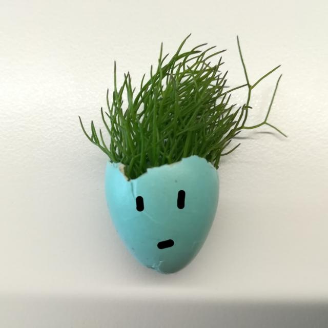 María Yáñez Rabanal