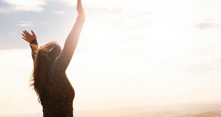 Wellness Intelligence Hub