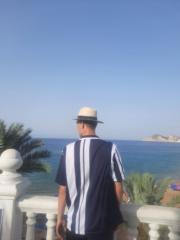 D Palm