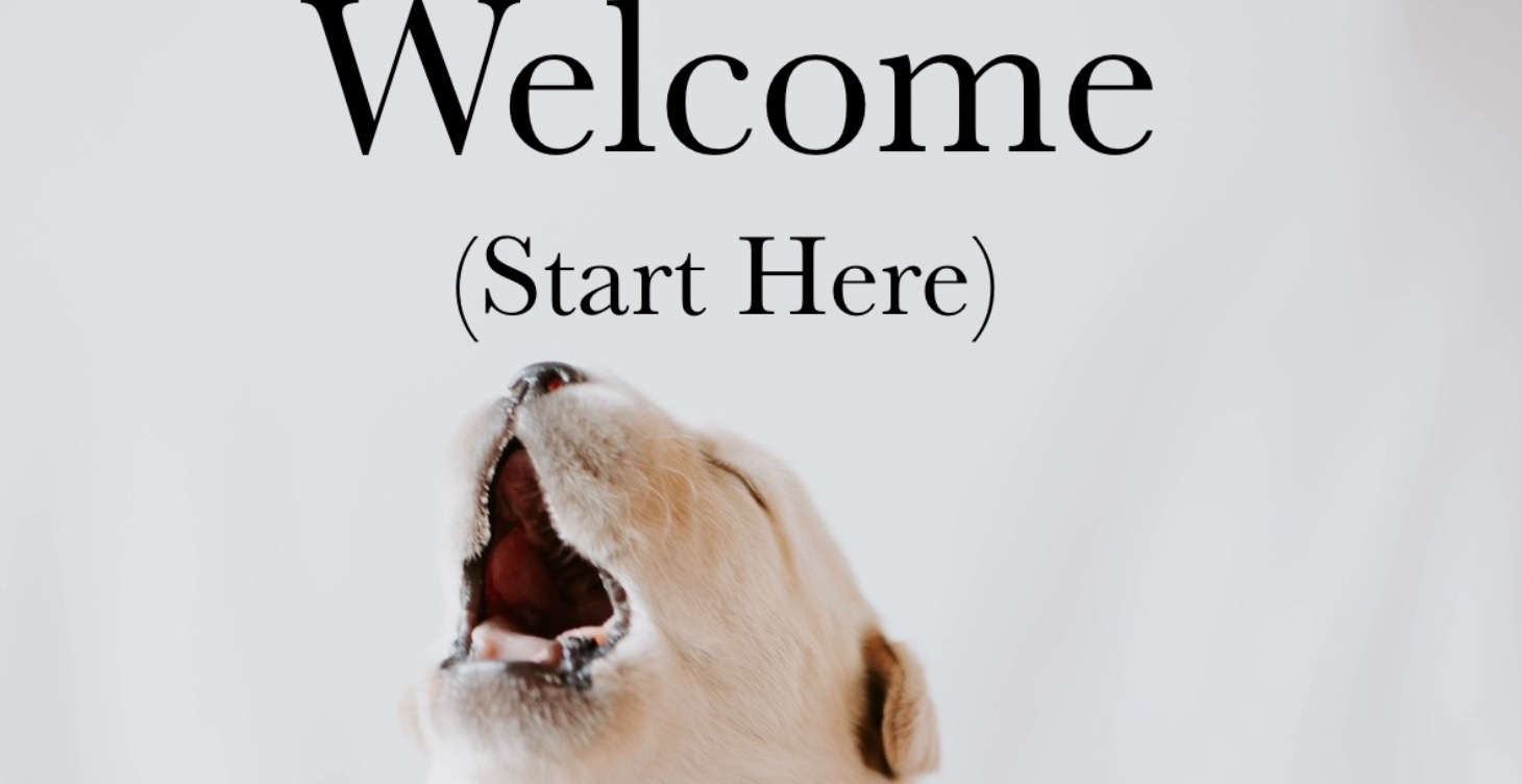 Welcome