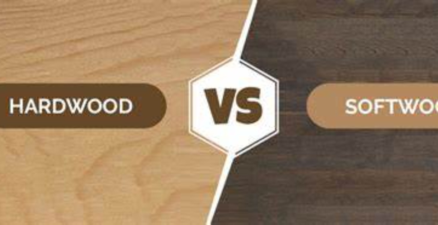 Hardwood vs Softwood: What’s the Real Difference?