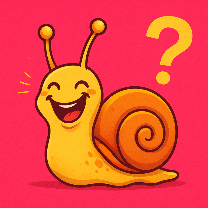 Skool-Empfehlungs-Marktplatz: Kleiner Sonntags-Check-In im Marktplatz