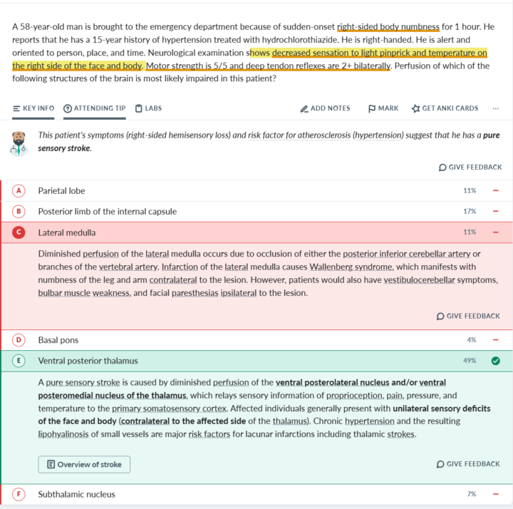 Neuro Office Hours 12/9