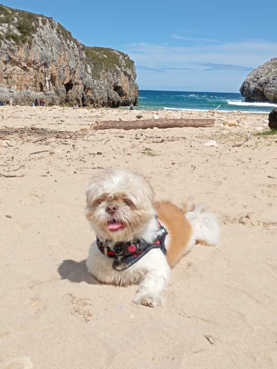 Alvaro Garcia Fradejas