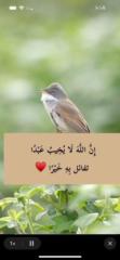 امنة سعيد علي سالم الكمزارية