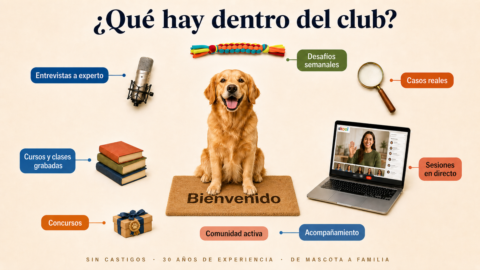 Club Entre Perros gallery image