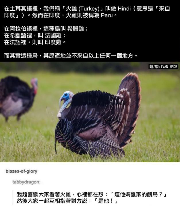 陳 孟楷