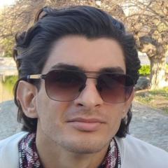 Hesam Simin