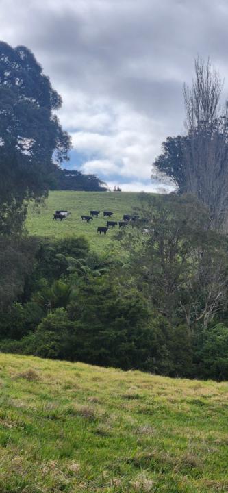 Victor Lefaoseu Lefaoseu