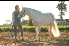 Alessandra Accinelli