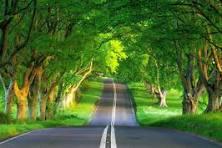 حنان الحربي