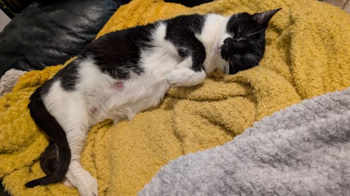 When life just happens...