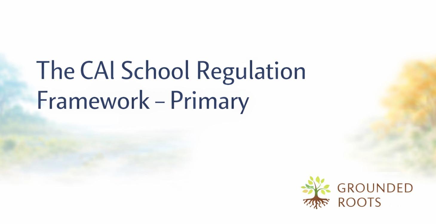 The CAI School Regulation Framework - Primary