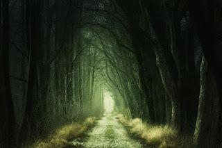Nightmare Disorder | Symptoms 