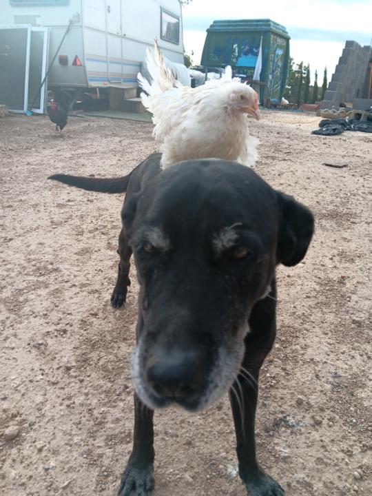 Herminia García Cruz