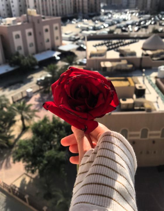 Lena Khaled
