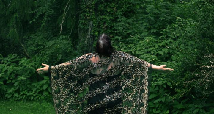 Metamorphoses With Gaffney