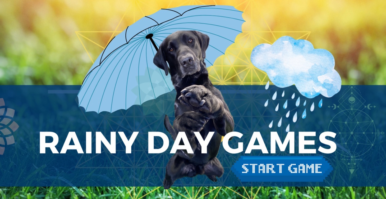 Rainy Day Games