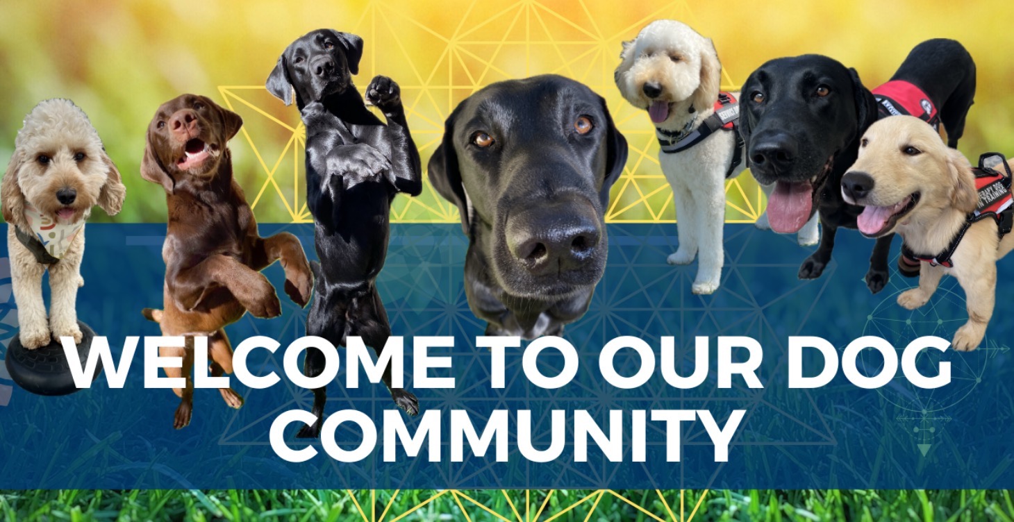 Welcome to the ASA Dog Community!