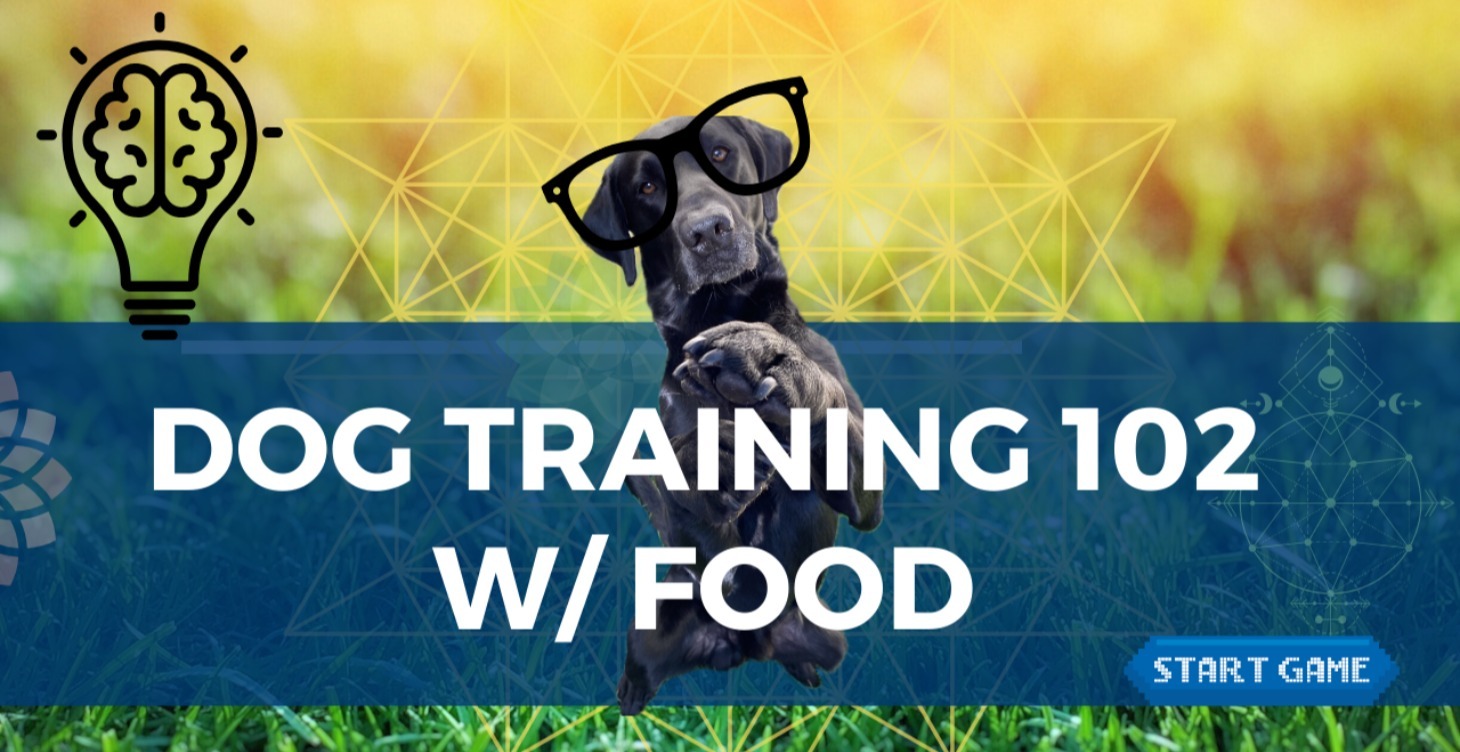 ADVANCED TRAINING 102 W/ FOOD