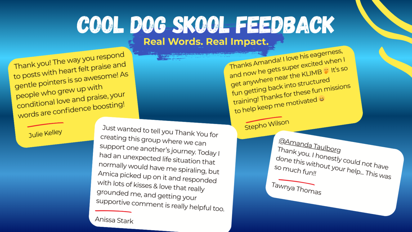Cool Dog Skool