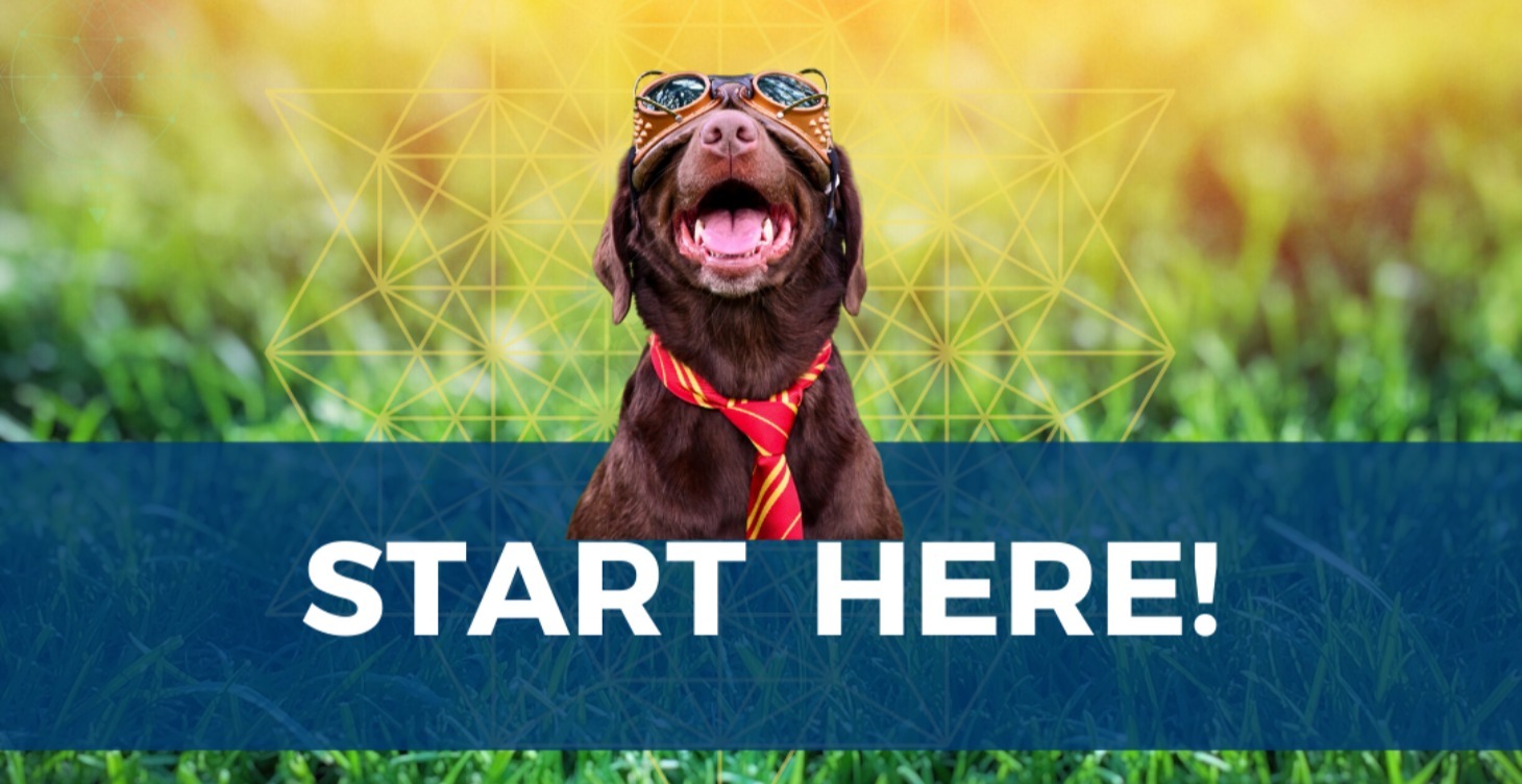 START HERE
