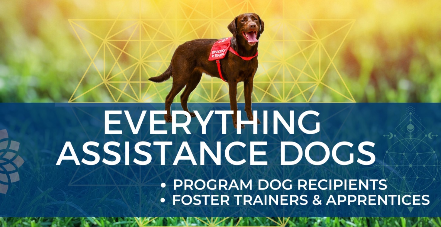 Everything Assistance Dogs Course