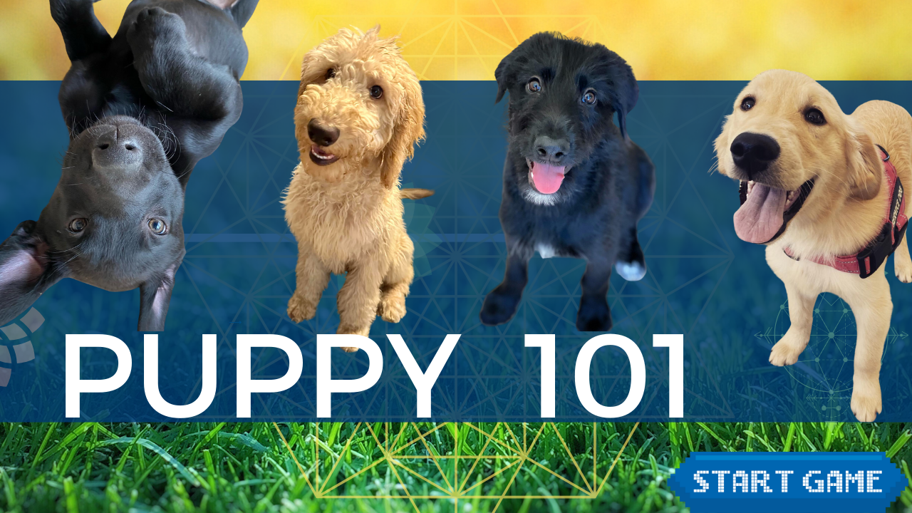 Hello Dog Trainers! · ASA Cool Dog School