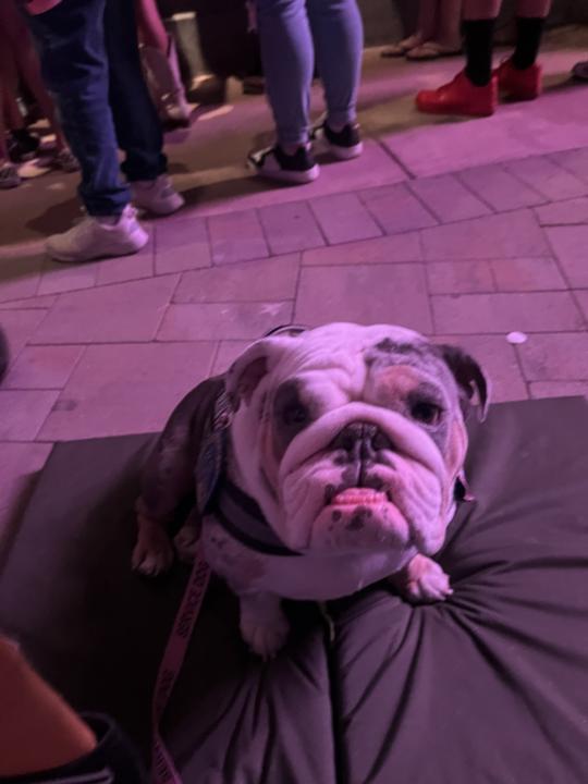 First concert 