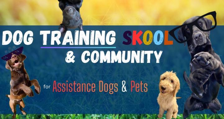 Cool Dog Skool 