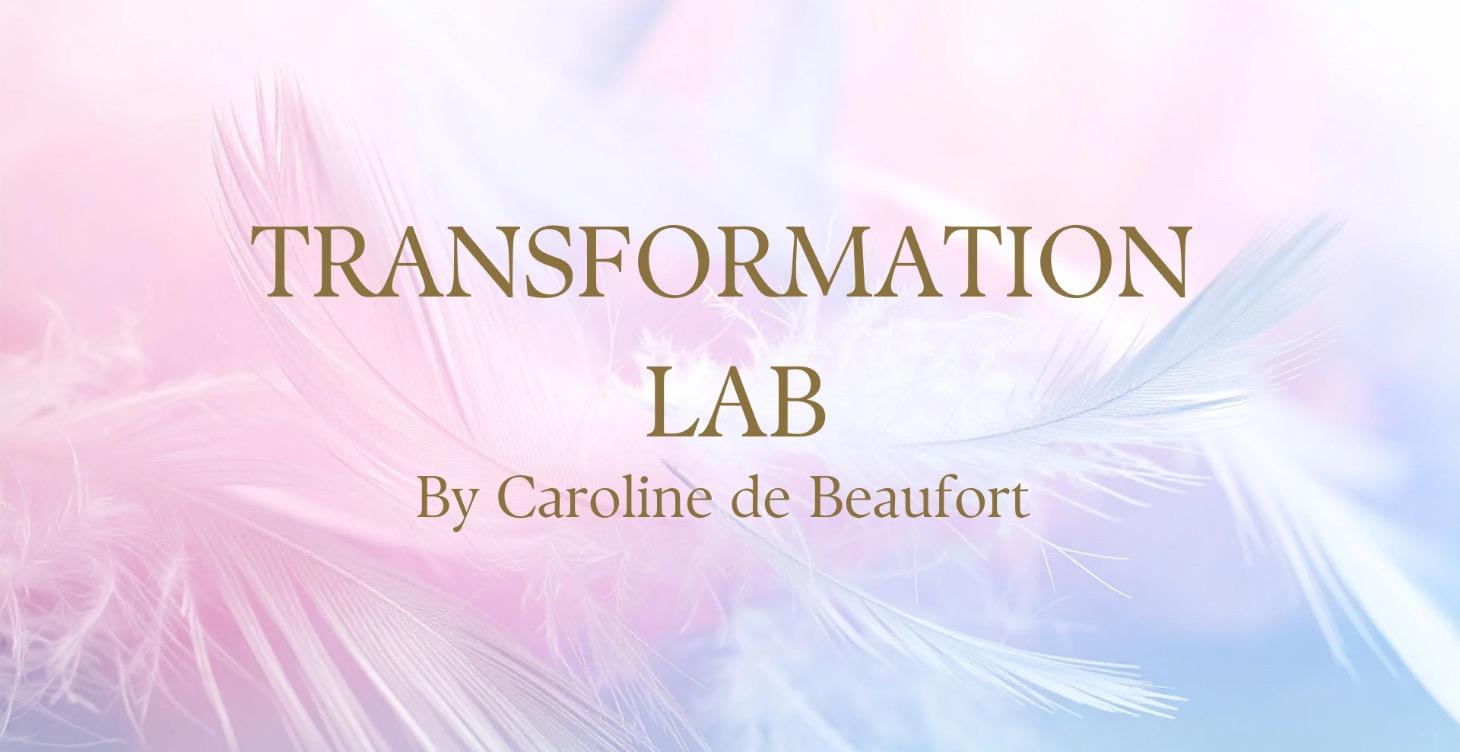 Transformation Lab by Caroline de Beaufort