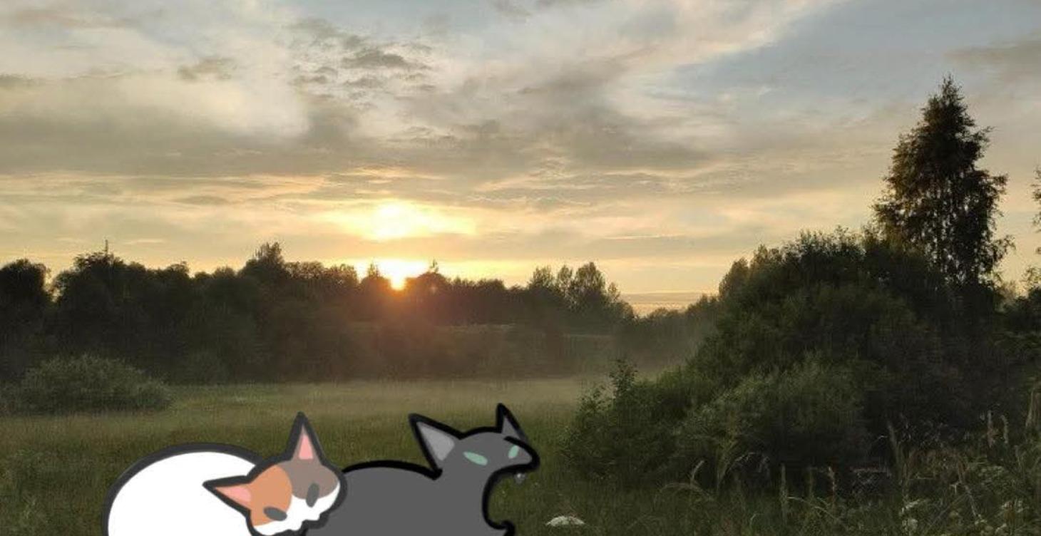 Learning to love makeup again