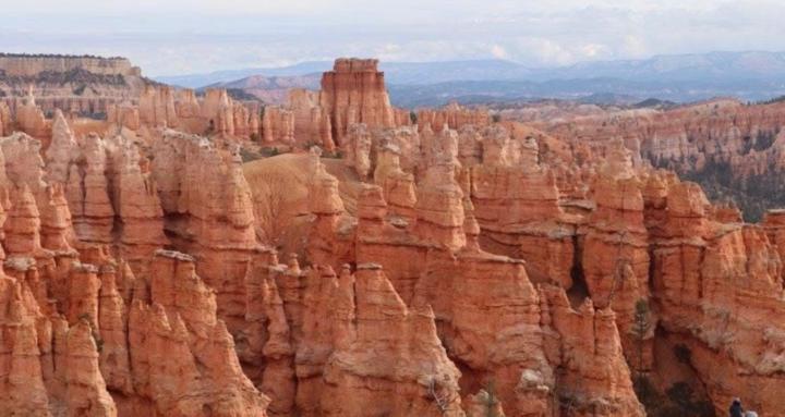 Raven Wisdom Mystery Skool