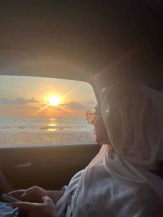 Alaa Hariri