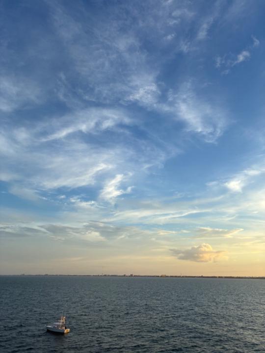 Courtney Santarsiero