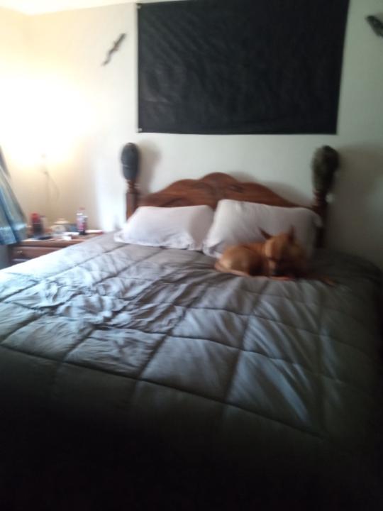 Christina Blanchfield