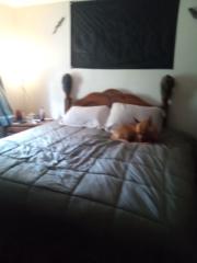 Christina Blanchfield