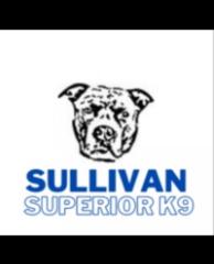 Devonte Sullivan