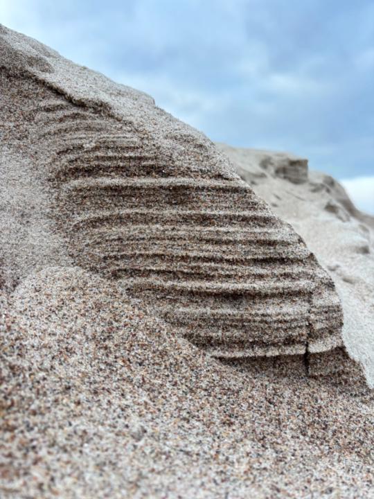 Ramunė Misiūnienė