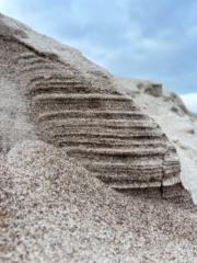 Ramunė Misiūnienė