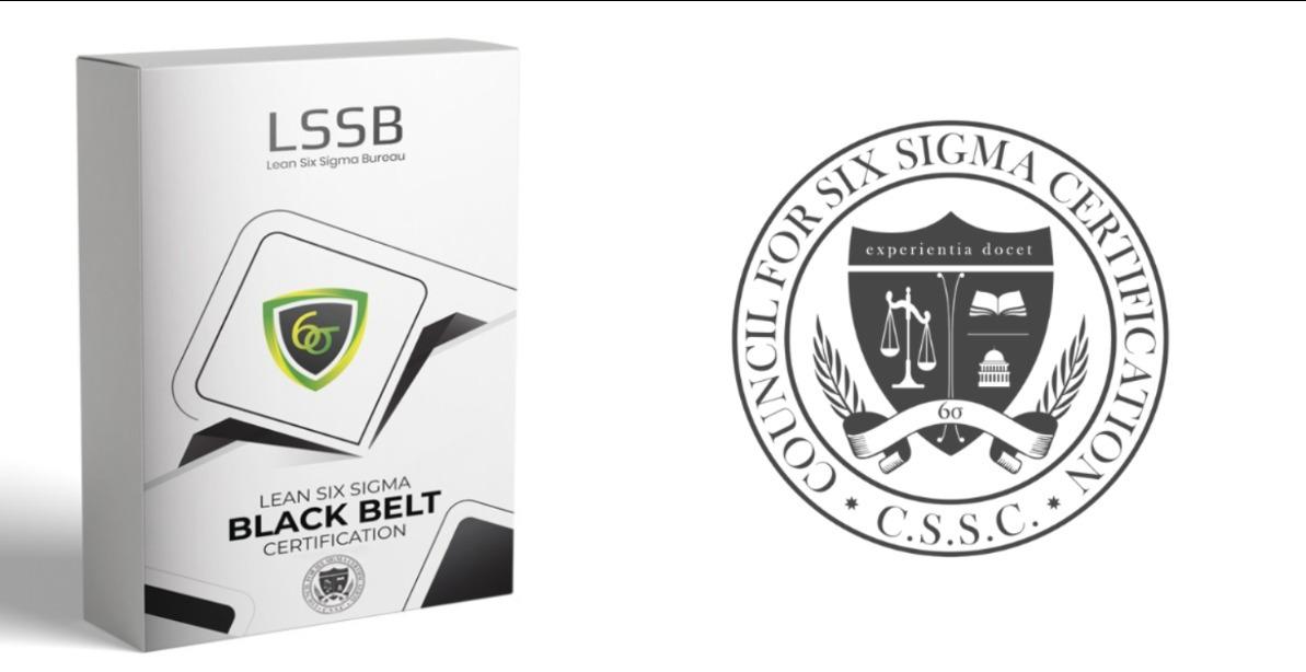 Lean Six Sigma Black Belt