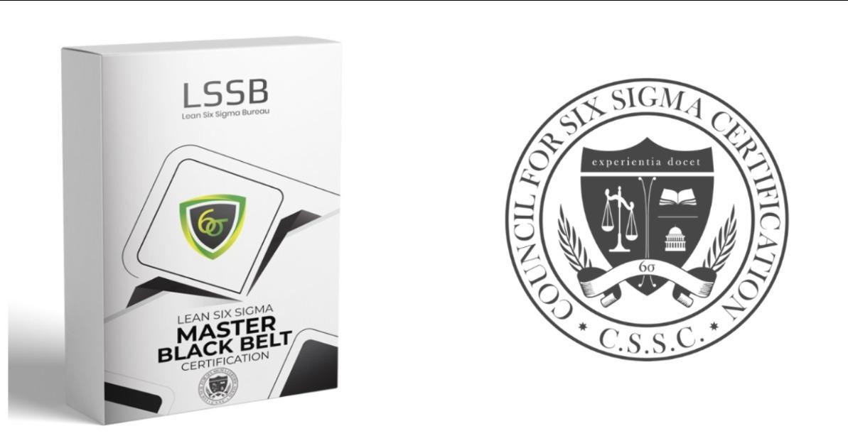 Lean Six Sigma Master Black Belt