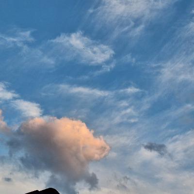 Annette Öhlschläger