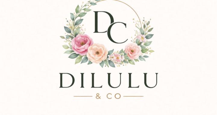 Dilulu & Co