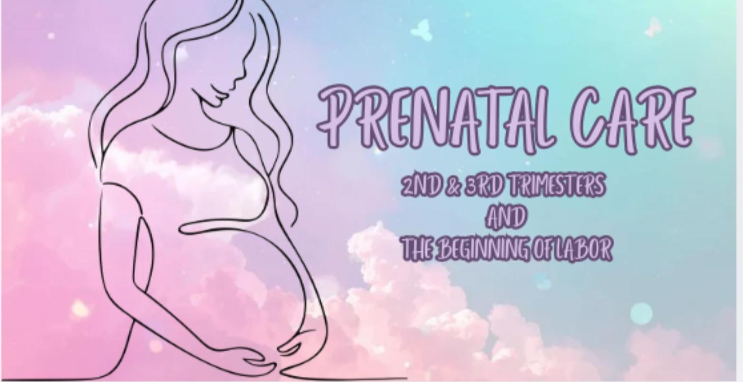 Prenatal Sesh - Let's chat about all these changes