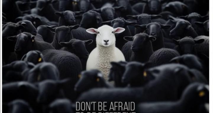 Beyond The Crowd