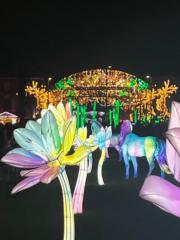 Nathalie Baudoin-toublanc