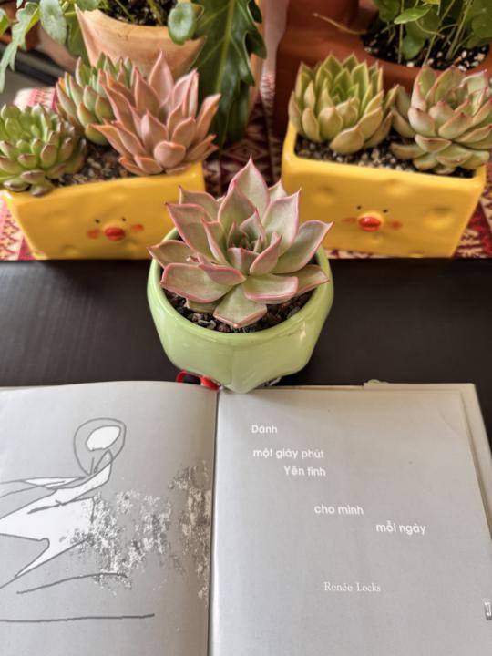 Giới thiệu của em