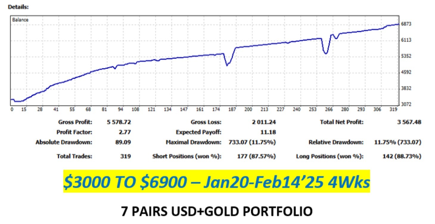 7 PAIRS USD+GOLD PORTFOLIO