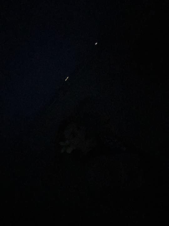 Nice chill walk to get my steps in